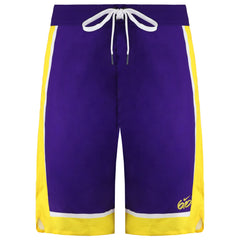 Nike 6.0 Logo Mens Purple Shorts