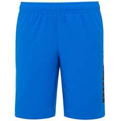 Puma Fun Big Logo Mens Blue Shorts