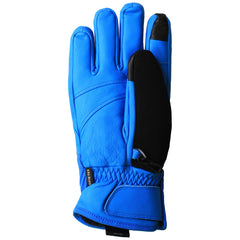 Oakley Snow Gore Blue Gloves