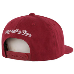 Mitchell & Ness NBA Cleveland Cavaliers Team Ground 2.0 Red Cap