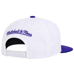 Mitchell & Ness NBA Charlotte Hornets 2 Tone 2.0 White/Purple Cap