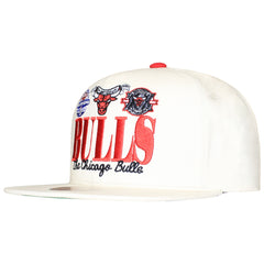 Mitchell & Ness NBA Chicago Bulls Reframe Retro Cap