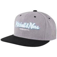 Mitchell & Ness Nostalgia Co Grey/Black Cap
