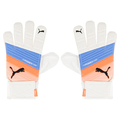 Puma Evo Power Grip 4 Grip Goalkeeper Gloves