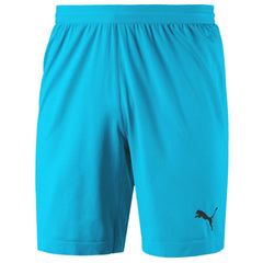 Puma Mens Final Evoknit Shorts Blue Training Running Pants 703455 08 XL