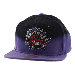 Mitchell & Ness Toronto Raptors Mens Cap