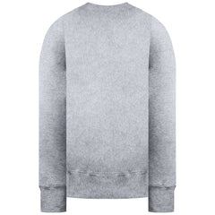 Champion Michigan Mens Grey Sweater