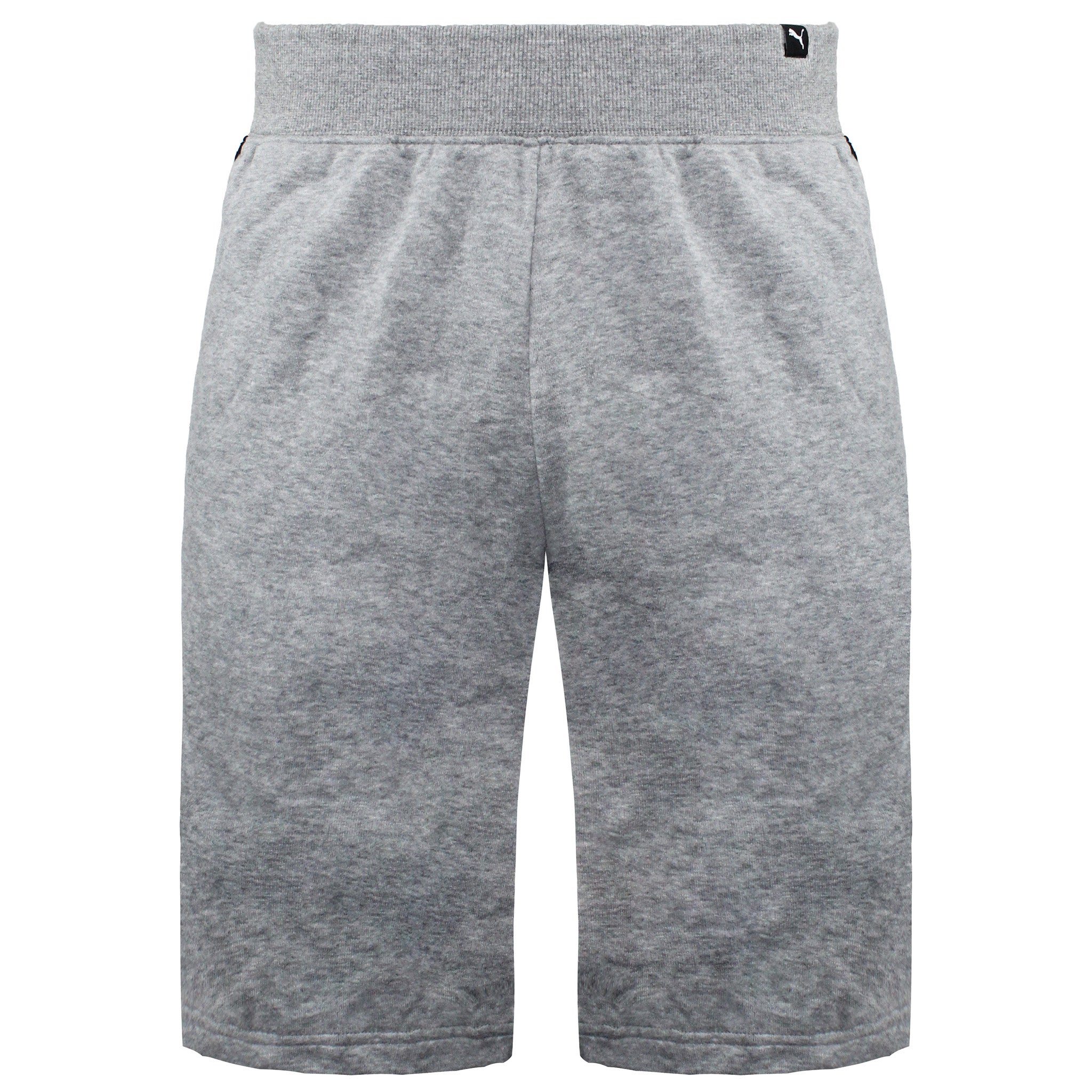 Puma Regular Fit Mens Grey Shorts