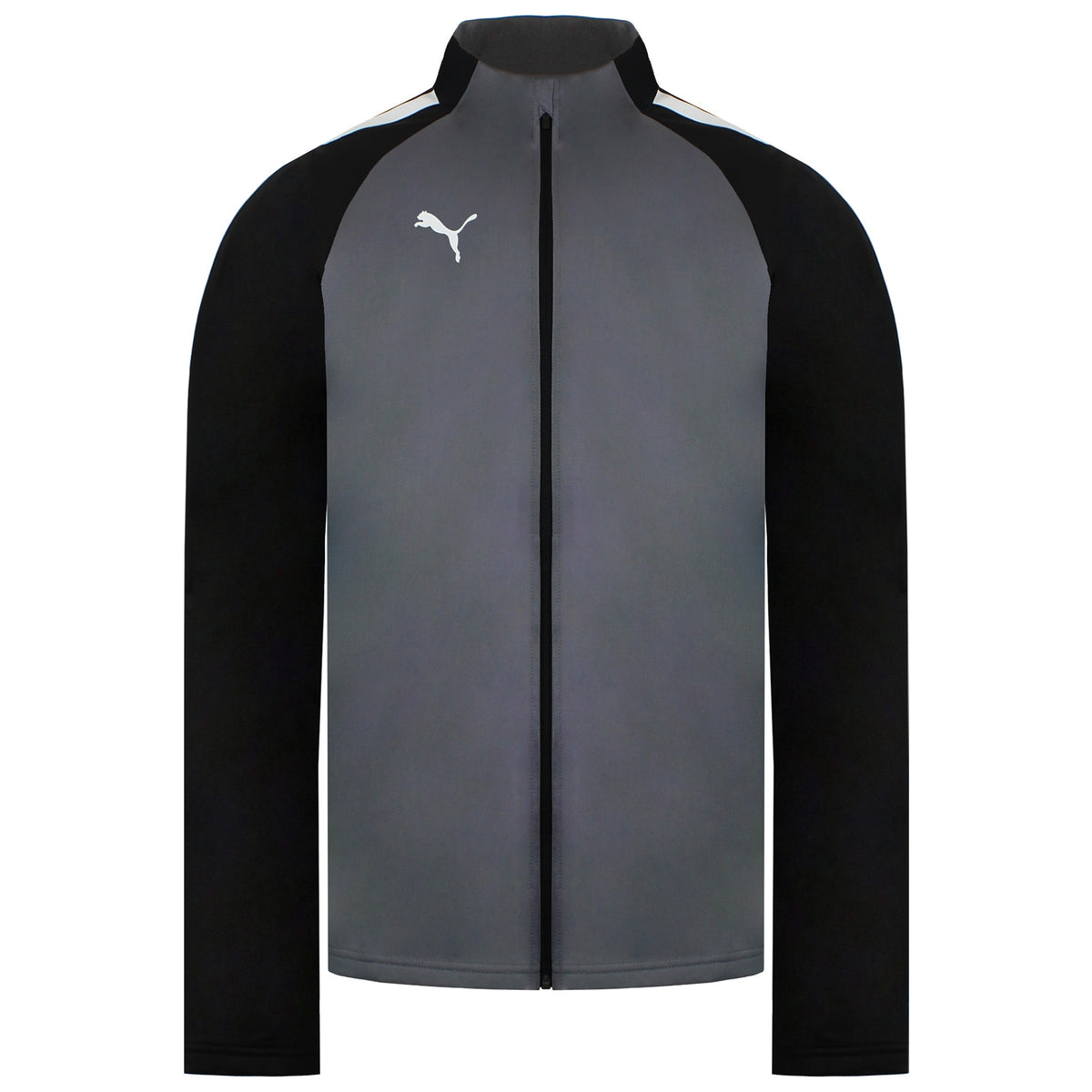 Puma TeamLiga Mens Grey Training Jacket