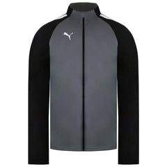 Puma TeamLiga Mens Grey Training Jacket