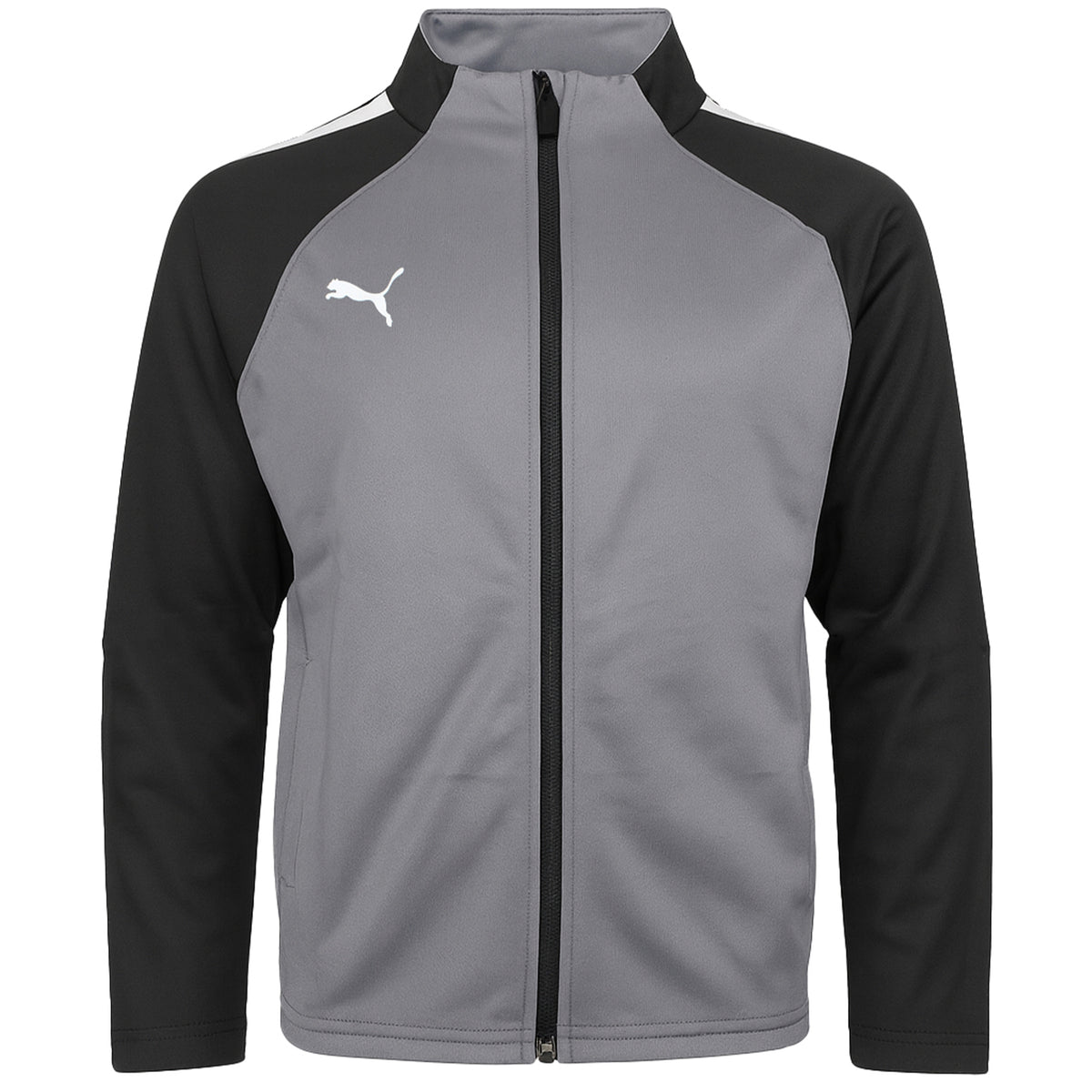 Puma TeamLiga Kids Grey Training Jacket