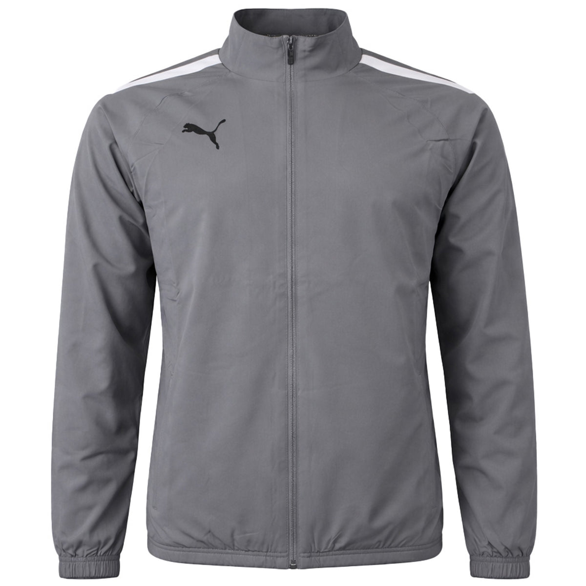 Puma teamLiga Sideline Mens Grey Jacket