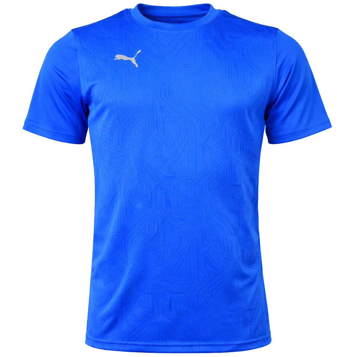 Puma teamFinal Mens Blue Training T-Shirt