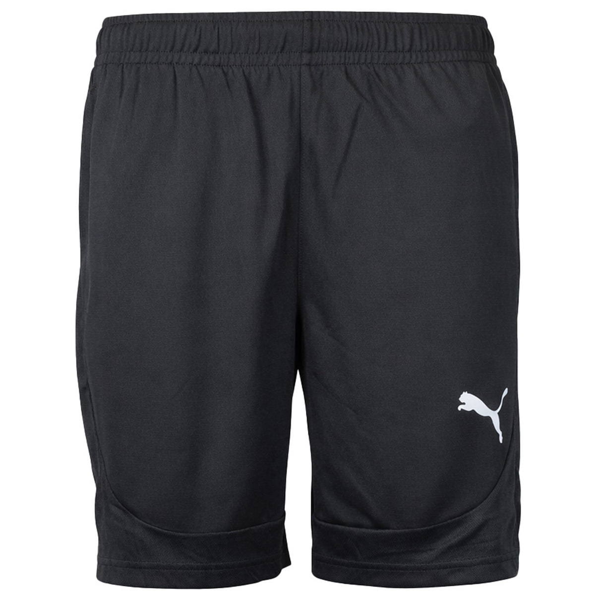 Puma teamFinal Mens Black Training Shorts