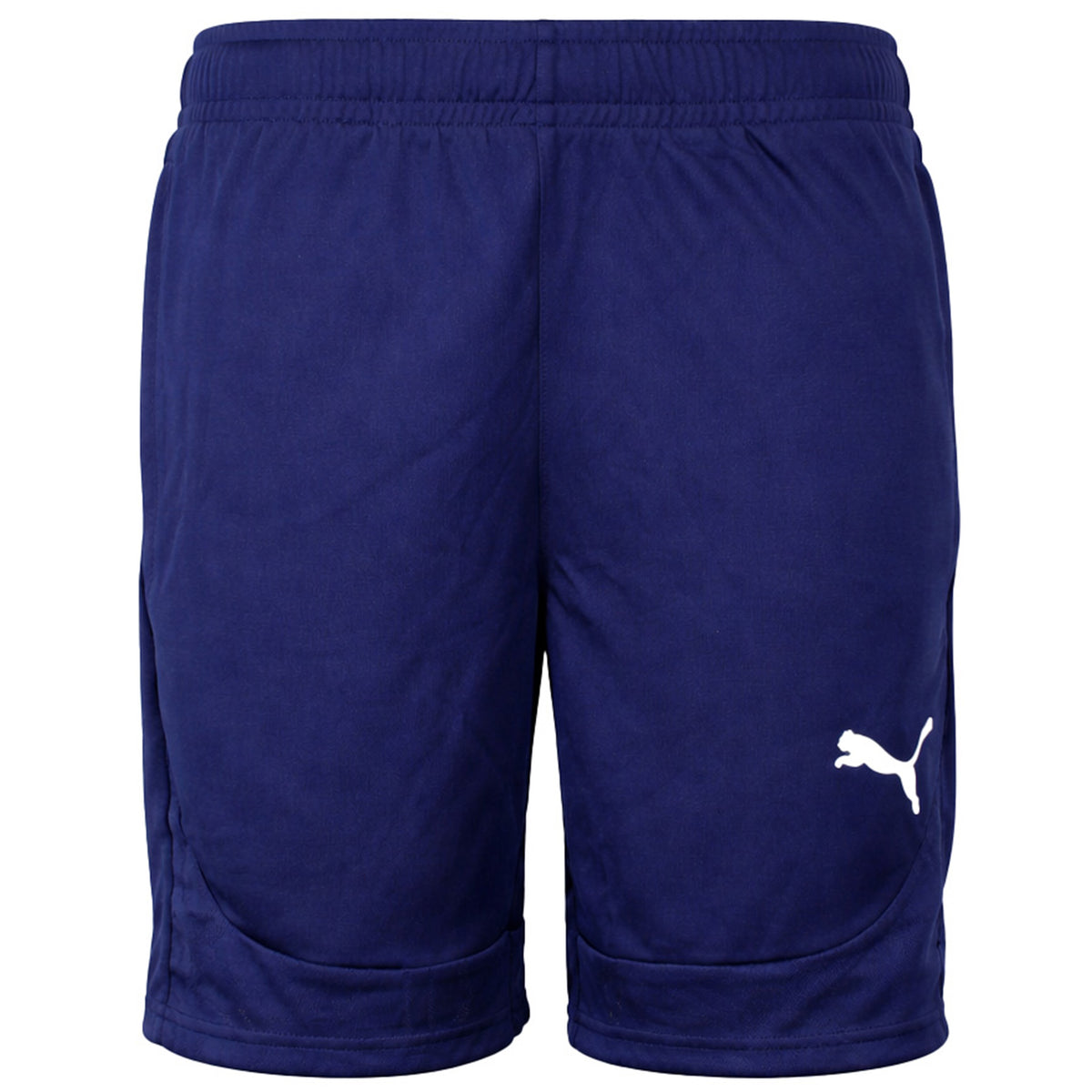 Puma teamFinal Mens Navy Training Shorts