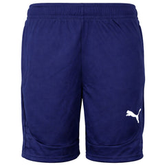 Puma teamFinal Mens Navy Training Shorts