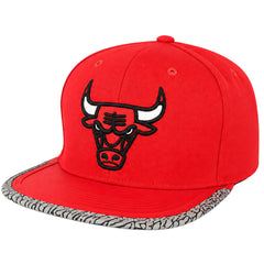 Mitchell & Ness NBA Chicago Bulls Day 3 Red Cap