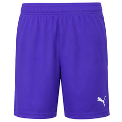 Puma teamGoal 23 Knit Kids Blue Shorts