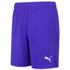 Puma teamGoal 23 Knit Kids Blue Shorts