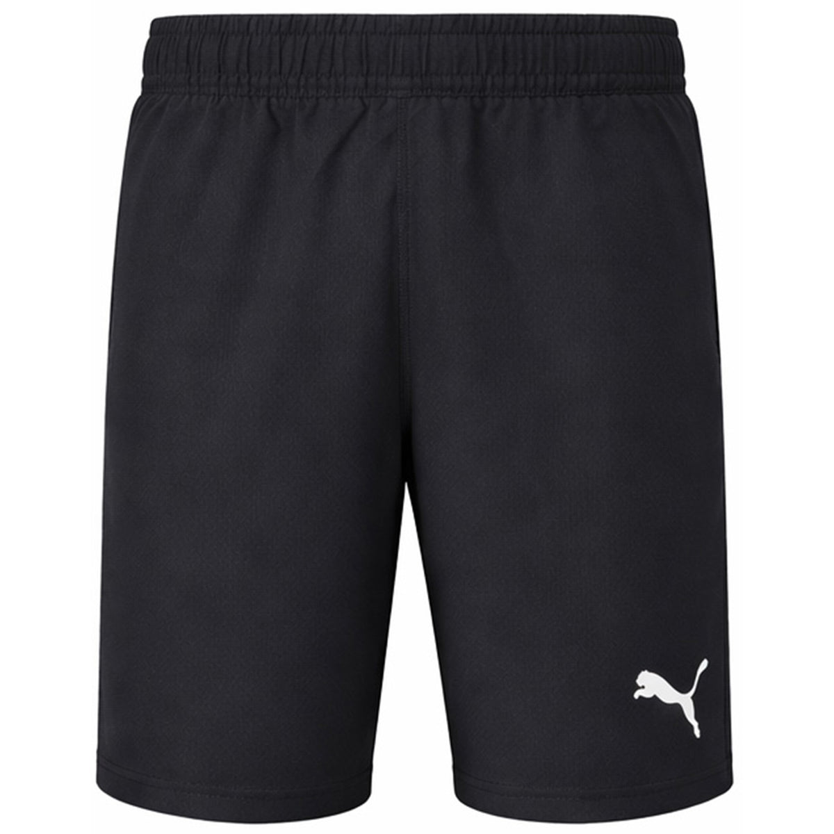 Puma TeamFinal DryCell Mens Black Shorts