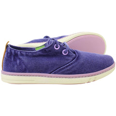 Timberland Hookset Kids Purple Plimsolls