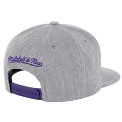 Mitchell & Ness NBA Los Angeles Lakers Team Grey Cap