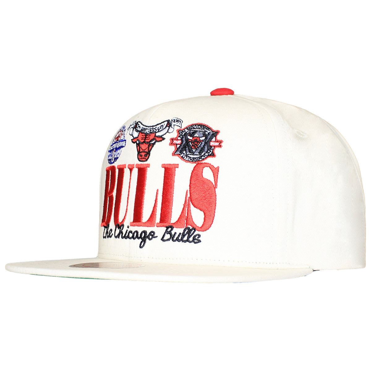 Mitchell & Ness NBA Chicago Bulls Reframe Retro Cap