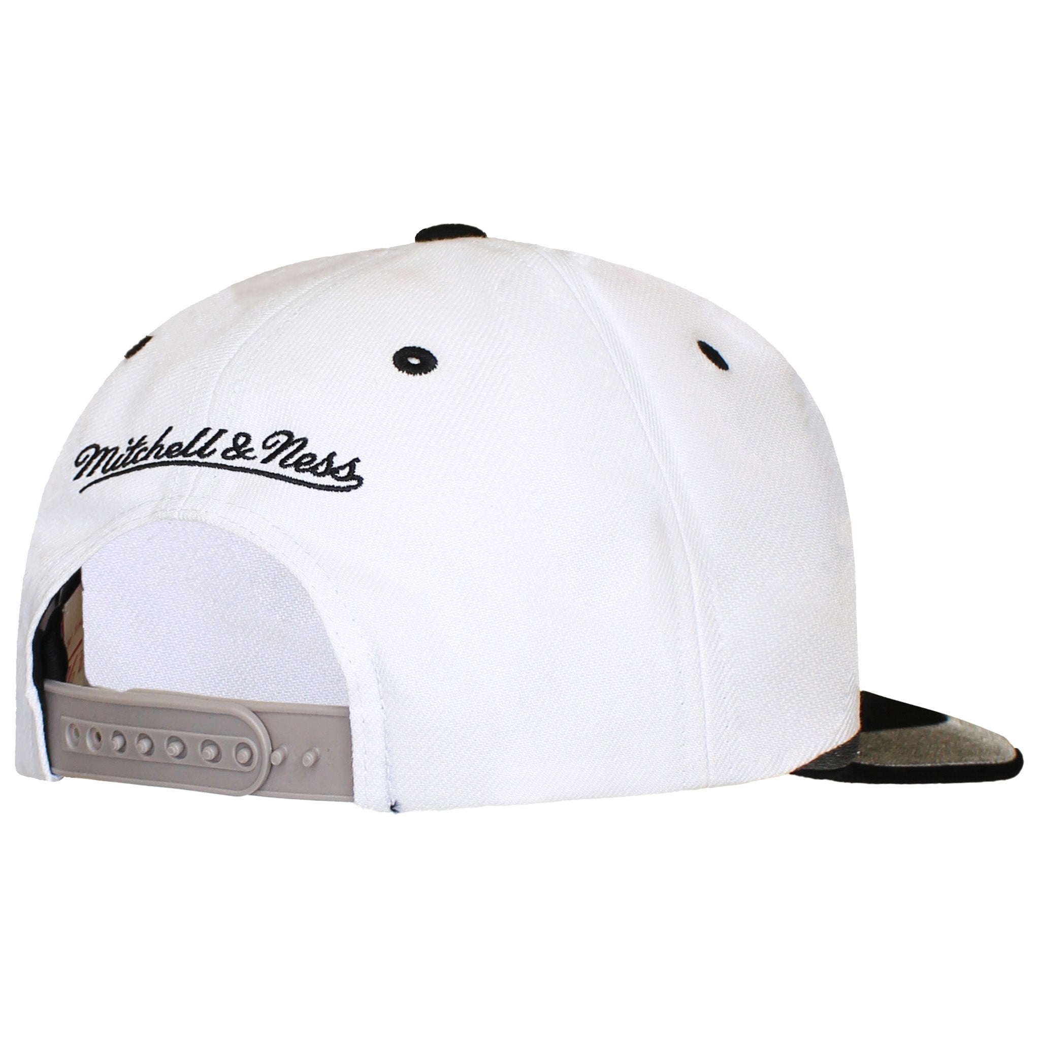 Mitchell & Ness NFL Oakland Raiders Retrodome Pro Cap