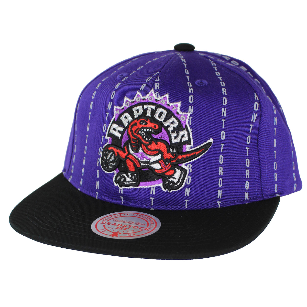 Mitchell & Ness NBA Toronto Raptors City Pinstripe Deadstock Purple Cap