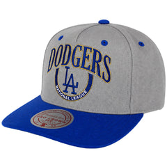 Mitchell & Ness MLB Los Angeles Dodgers Crown Jewels Pro Grey Cap