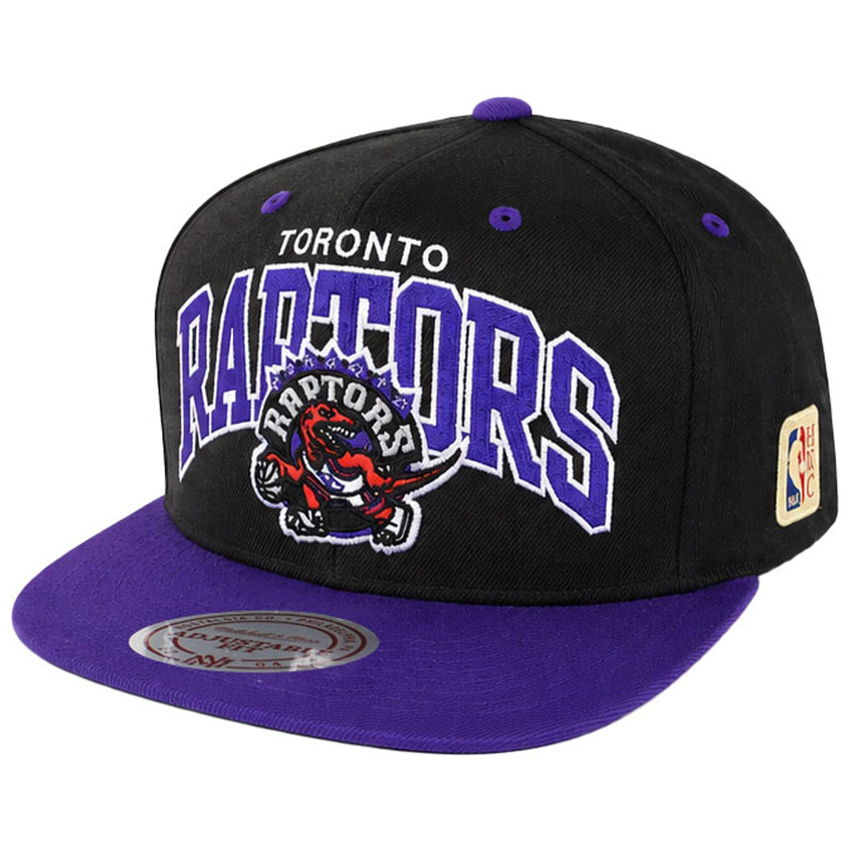 Mitchell & Ness NBA Toronto Raptors HWC Team Black/Purple Cap