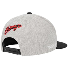 Mitchell & Ness NBA Chicago Bulls Hometown Grey/Black Cap