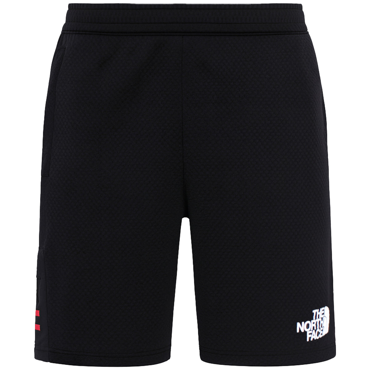 The North Face Ma II Mens Black Shorts