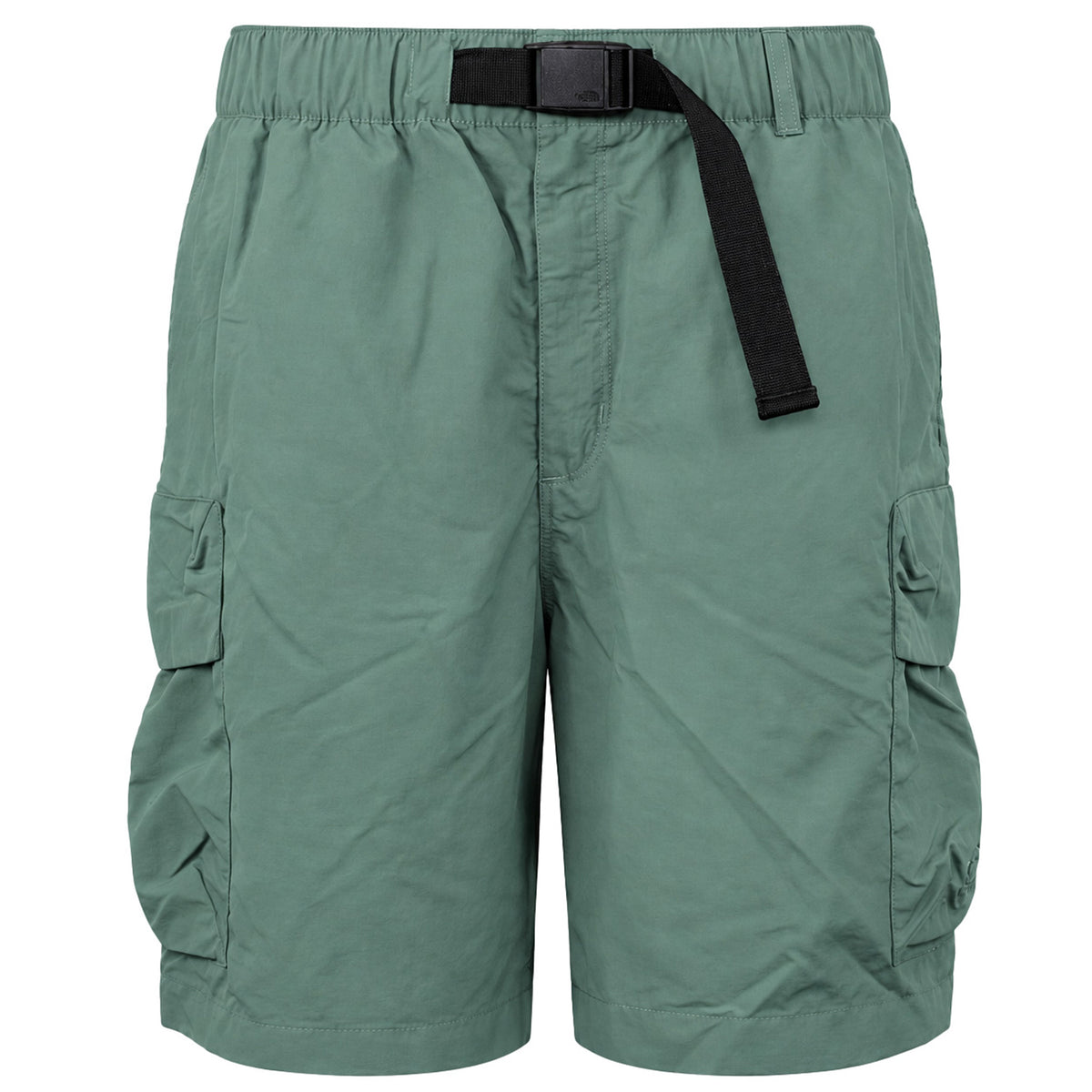 The North Face Cargo Pocket Mens Green Shorts