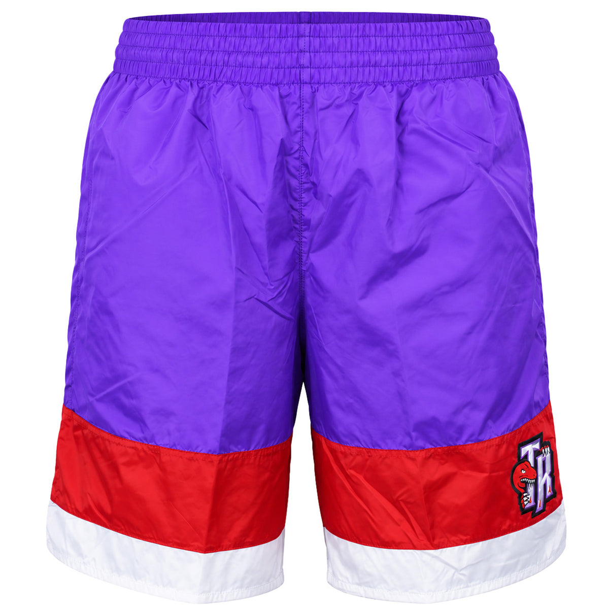Mitchell & Ness NBA Toronto Raptors Striped Mens Purple Shorts