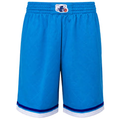 Mitchell & Ness NBA Charlotte Hornets 75th Swingman Mens Teal Shorts