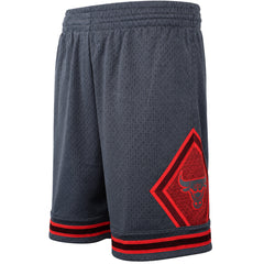 Mitchell & Ness NBA Chicago Bulls Space Swingman Mens Grey Shorts