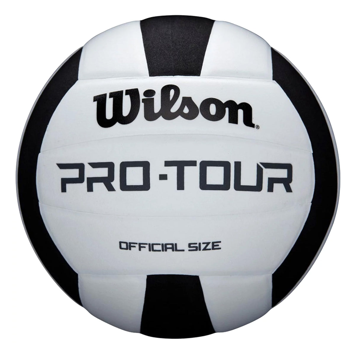 Wilson Pro Tour White/Black Volleyballs