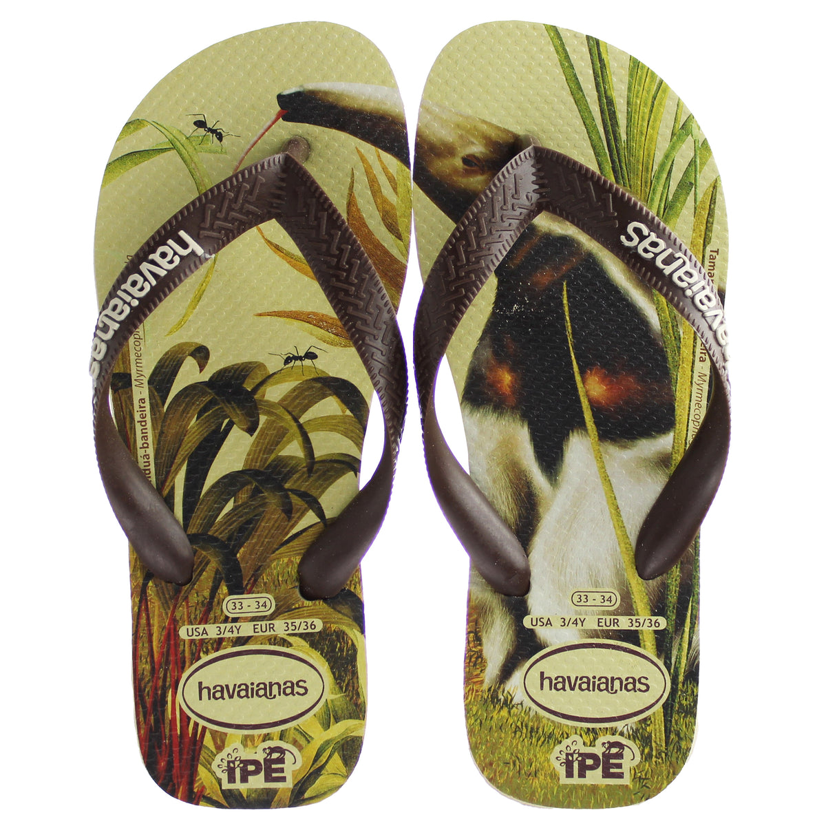 Havaianas IPE Mens Brown Flip-Flops