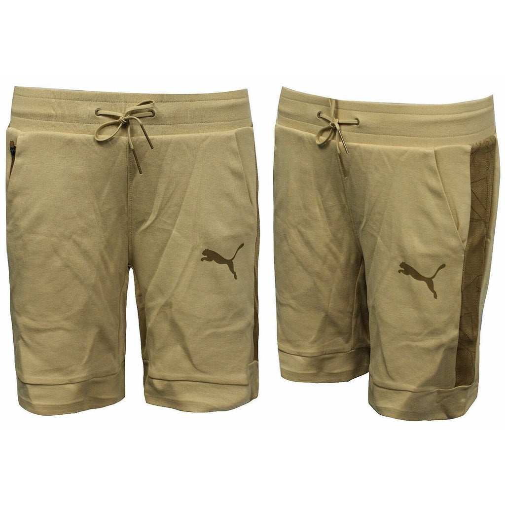 Puma Evo Mens Brown Shorts