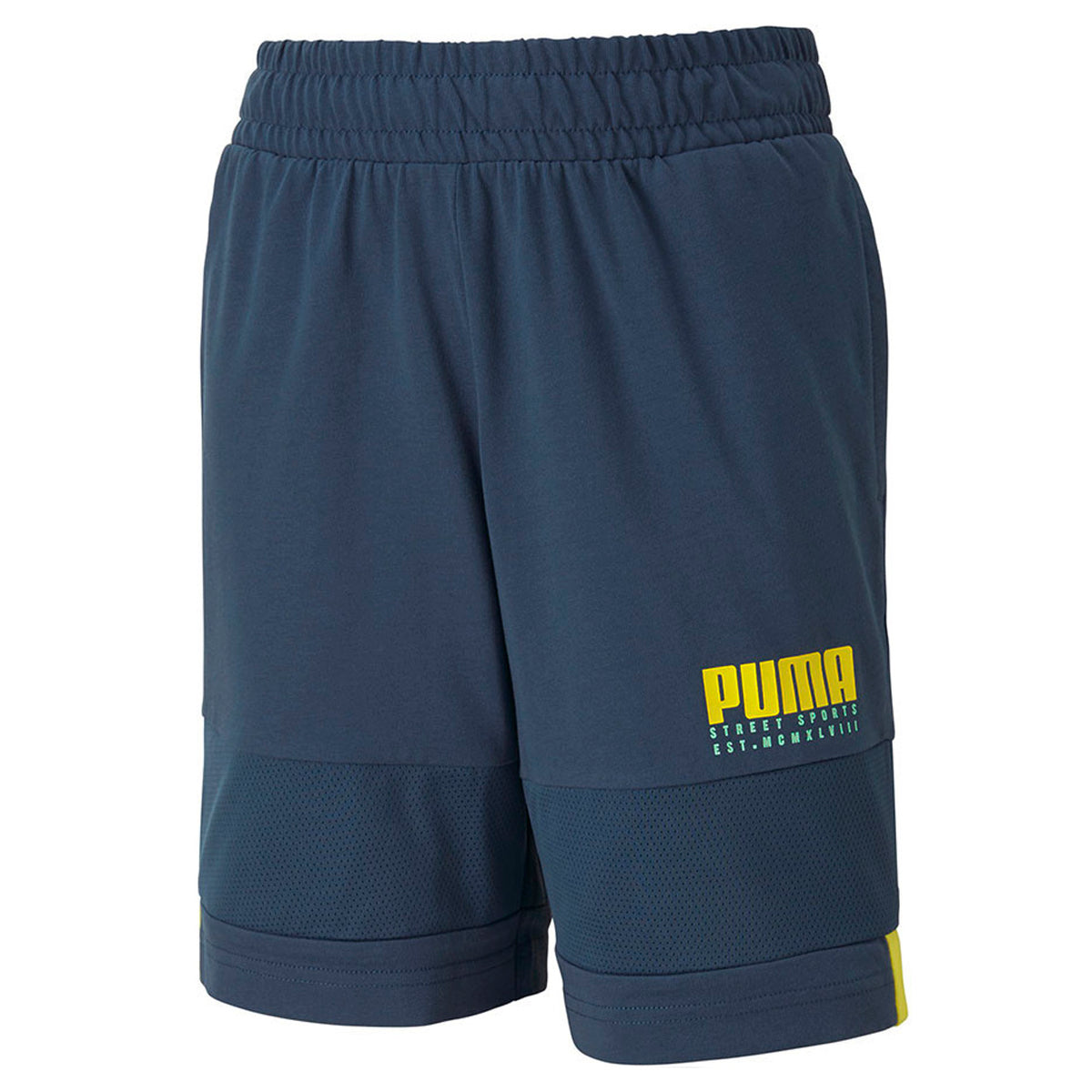 Puma Alpha Kids Blue Shorts