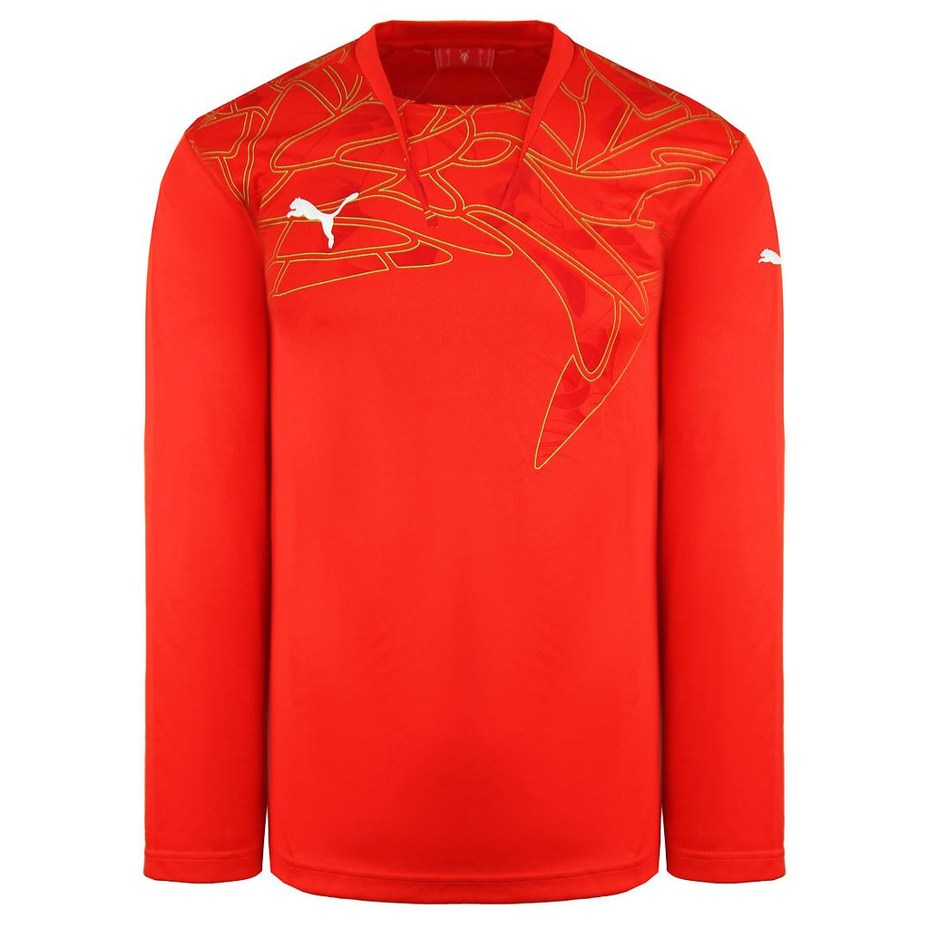 Puma Graphic Mens Red Goalkeeper Shirt