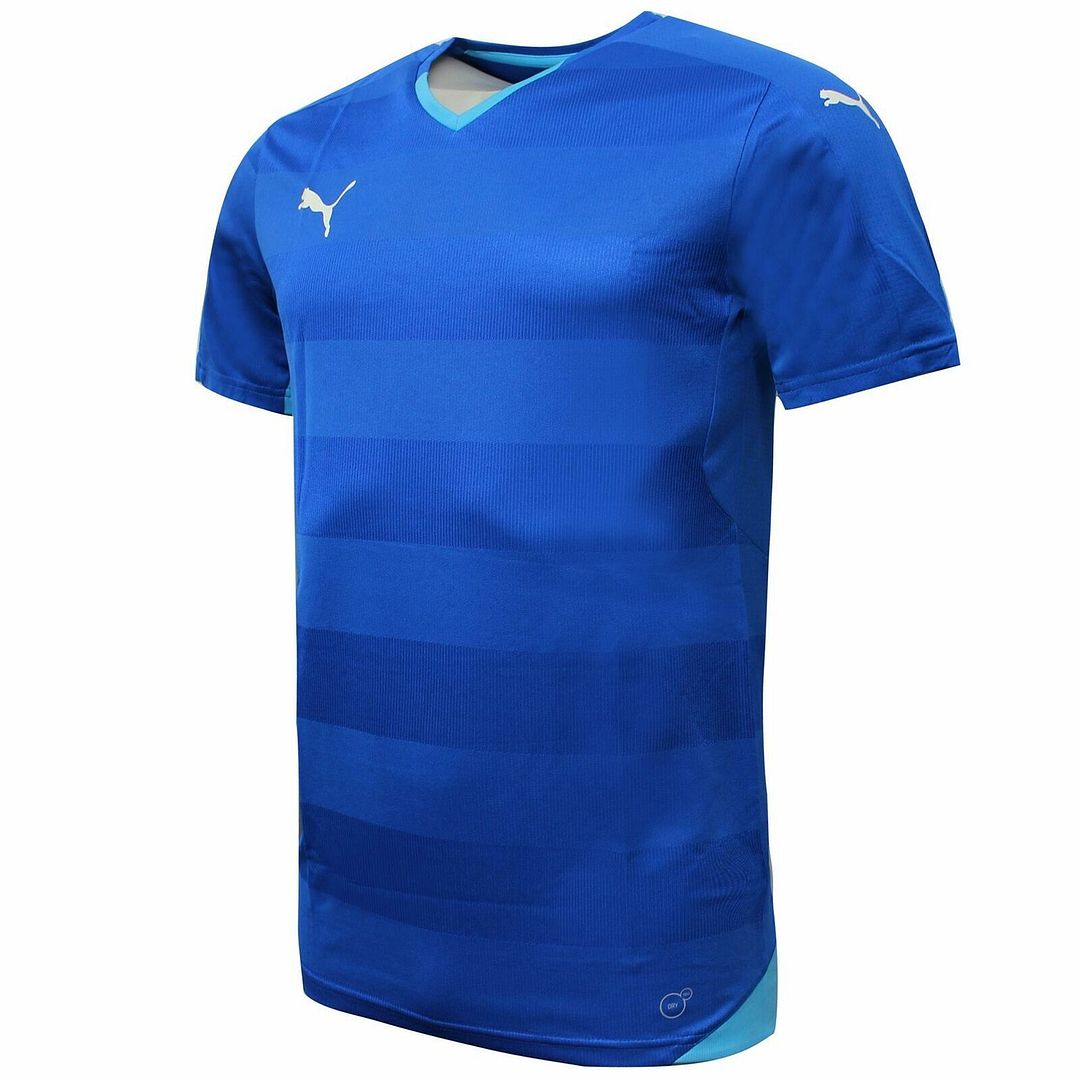 Puma Stadium Jersey Mens Blue T-Shirt