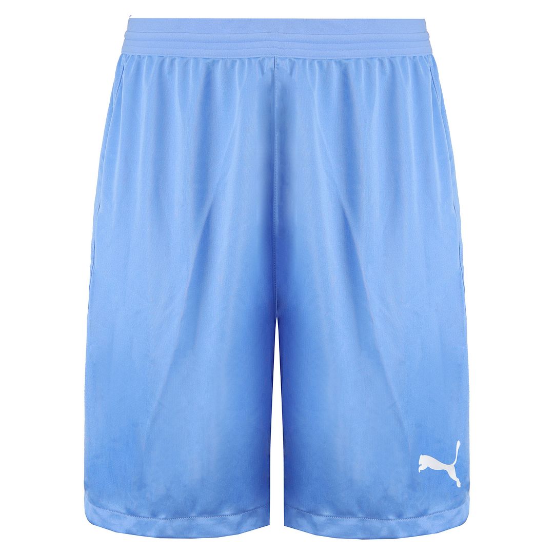 Puma Team Final 21 Mens Light Blue Shorts