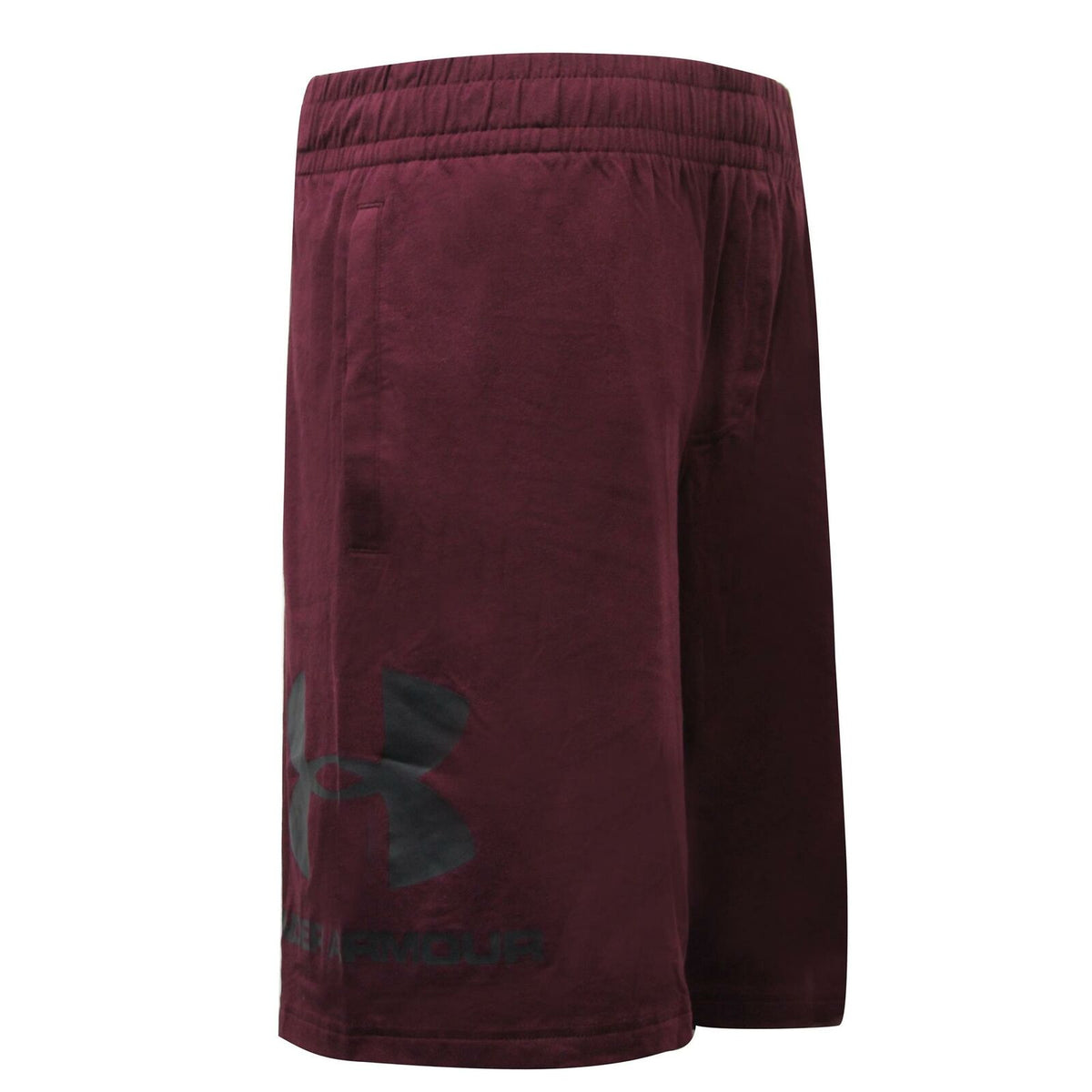 Under Armour Sports Mens Burgundy Shorts