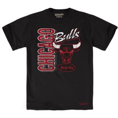 Mitchell & Ness Chicago Bulls Winning Team Mens T-Shirt