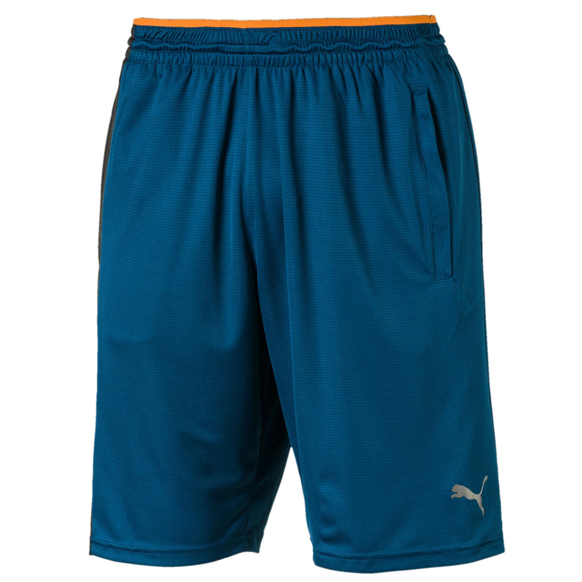 Puma Collective Mens Casual Shorts